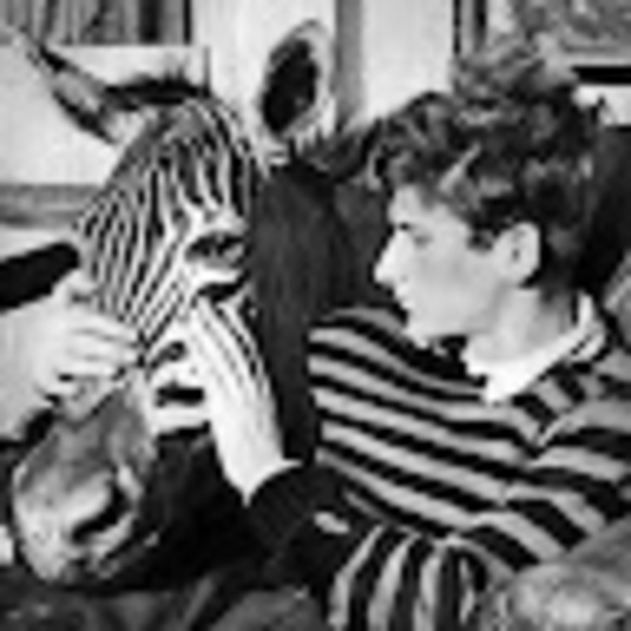 Meet your Posher, Lynn - Picture 1 of 1